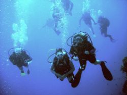 open water students on final dive.taken with pentax optio... by David Murdoch 
